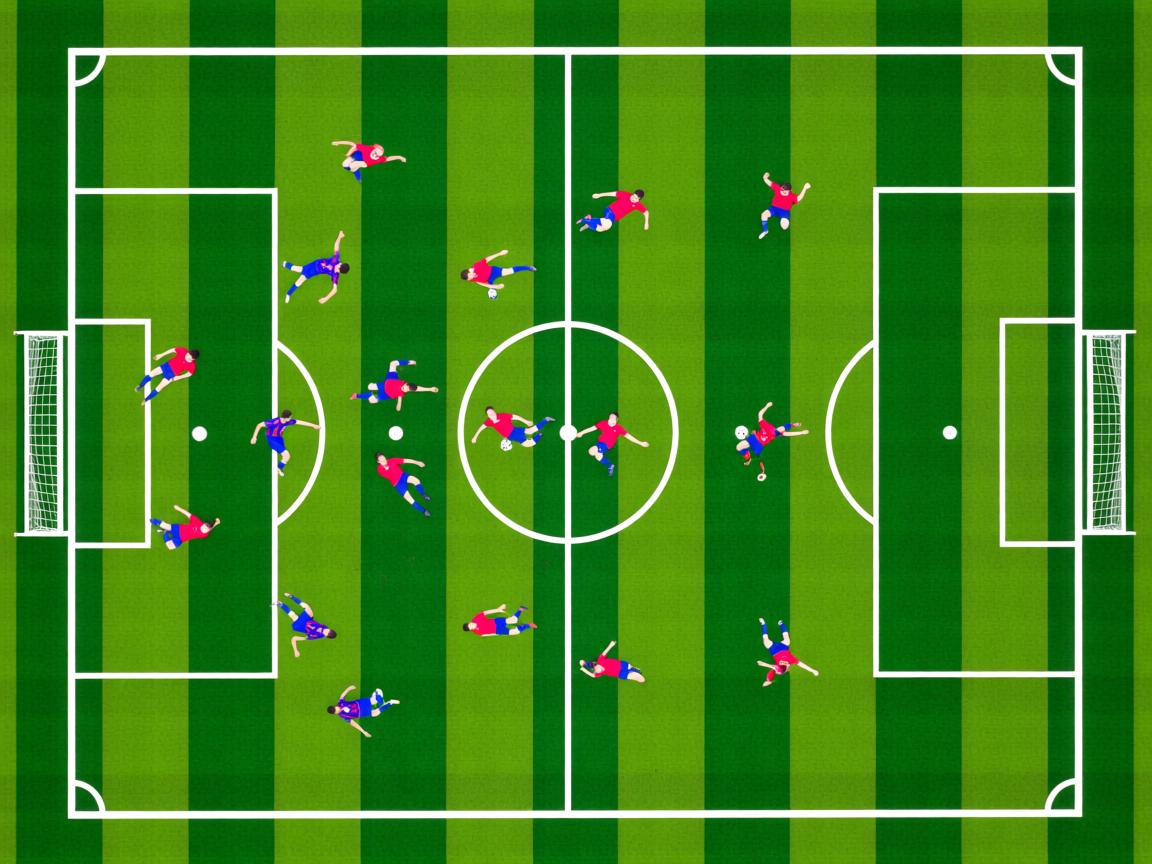 开云官网-体育新闻中心承办全国体育新闻融合传播实训营，中国体育科学学会体育新闻传播分会